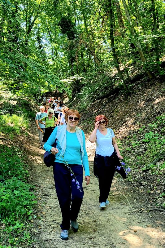 16 Izlet Andrevlje 1. jun 2025