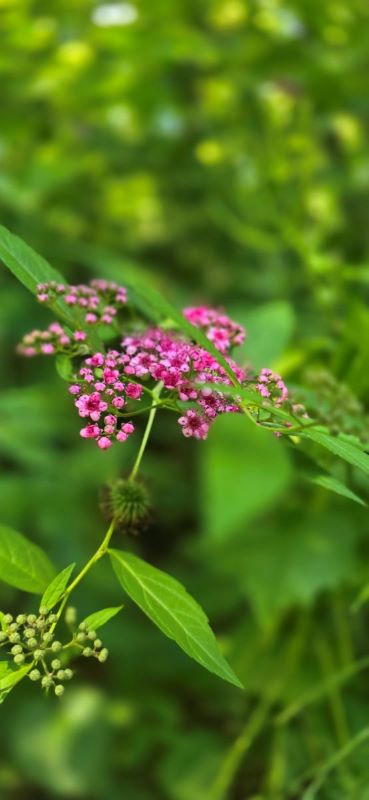 17 Izlet Andrevlje 1. jun 2025