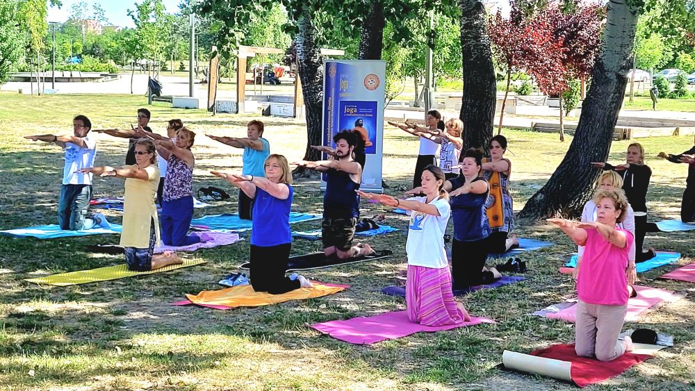 5 MARDŽARI MAČKA 1