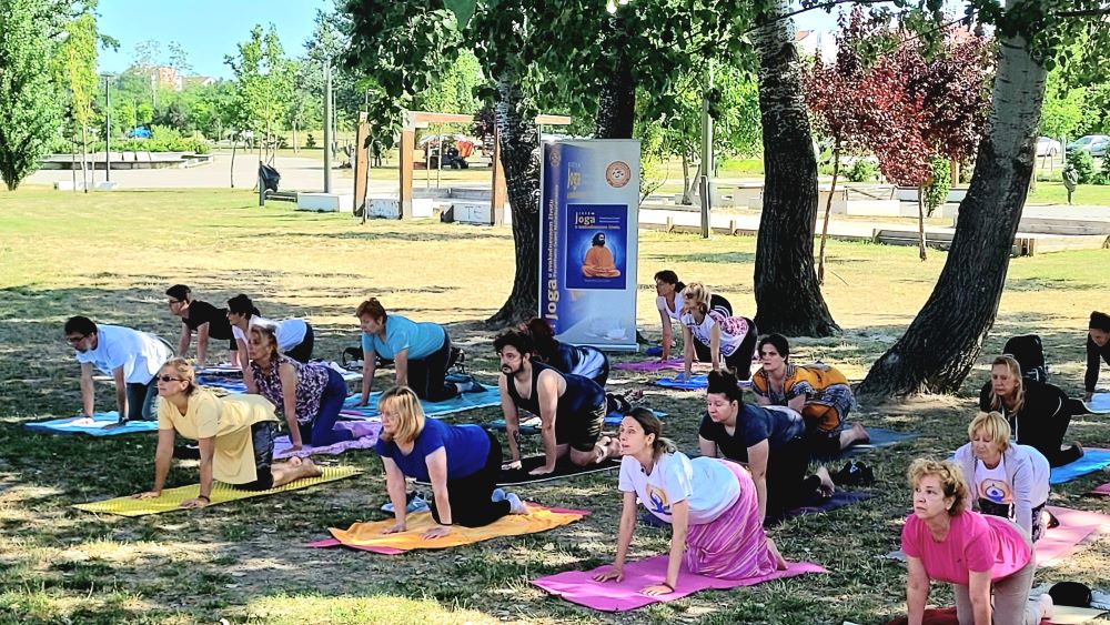 7 MARDŽARI MAČKA 3