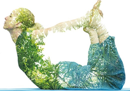 Asana sa Zagrebackog sajta